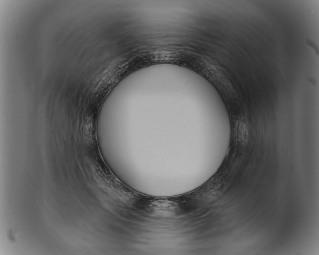 X0000101200557200807111012