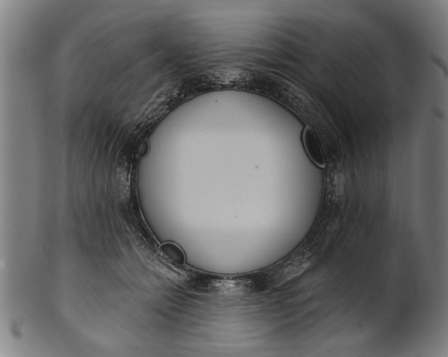 X0000101200558200807111012