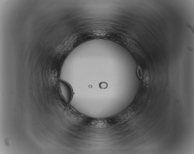 X0000101200559200807111012