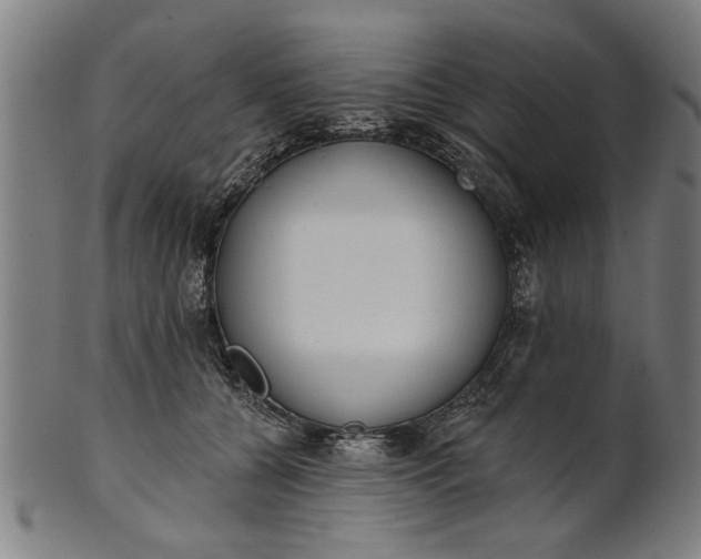 X0000101200560200807111012