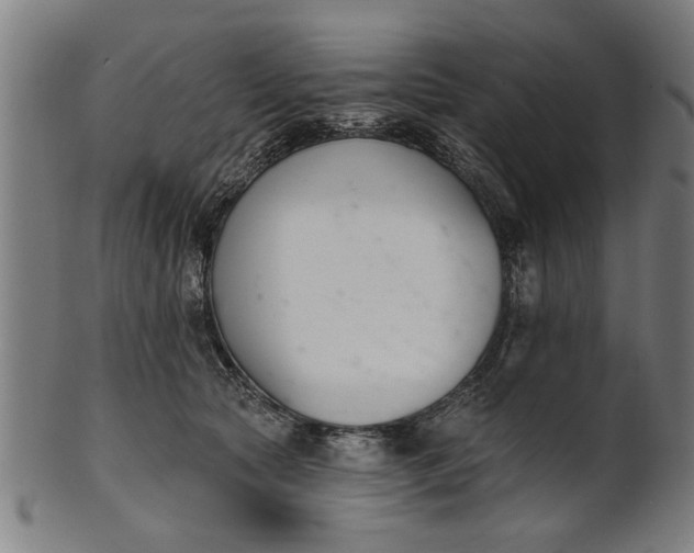 X0000101200561200807111012