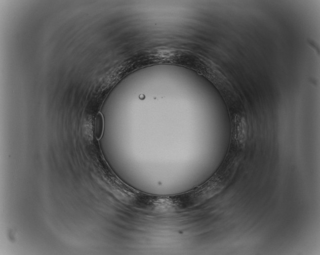 X0000101200562200807111012