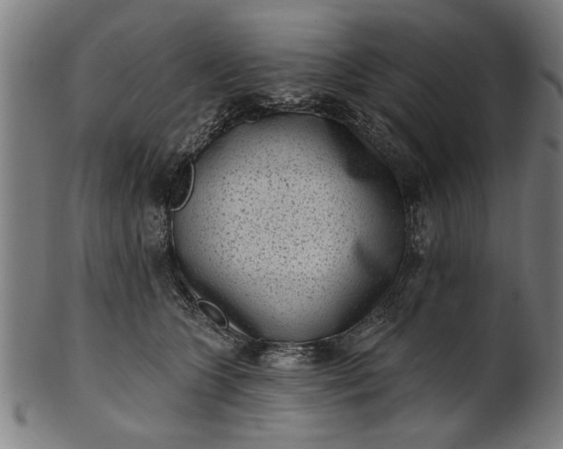 X0000101200563200807111012