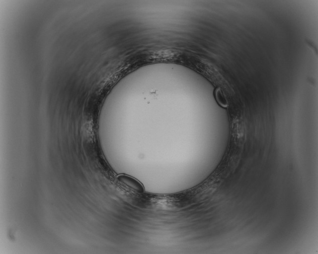X0000101200564200807111012