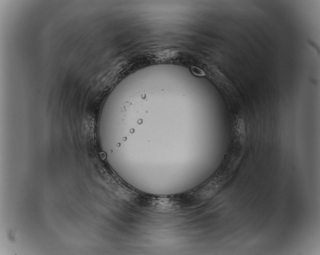 X0000101200565200807111012