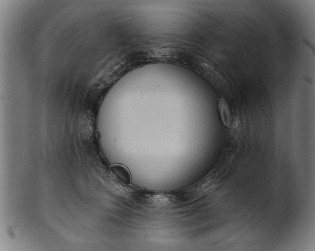 X0000101200566200807111012