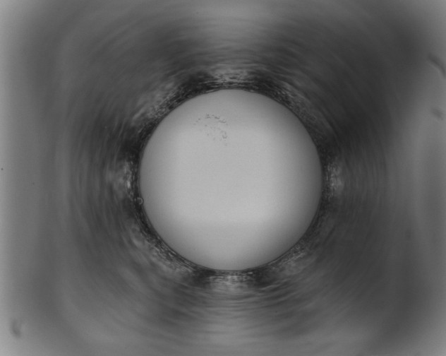 X0000101200567200807111012