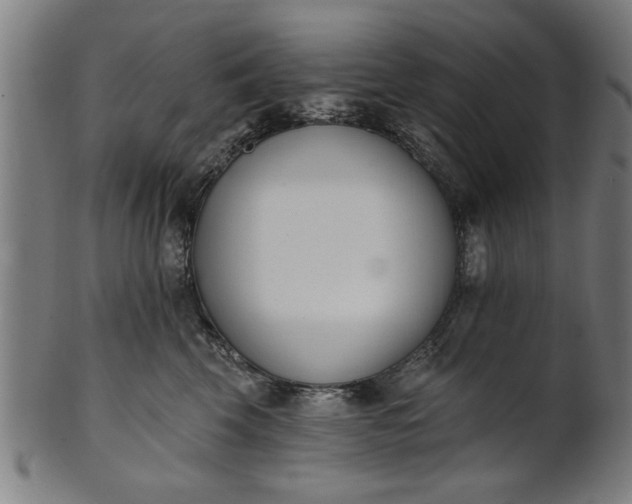 X0000101200569200807111012