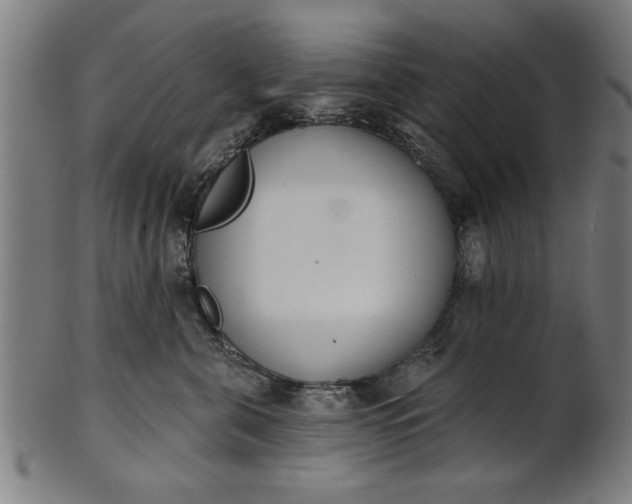 X0000101200571200807111012