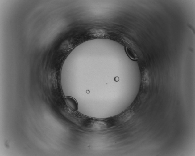 X0000101200572200807111012