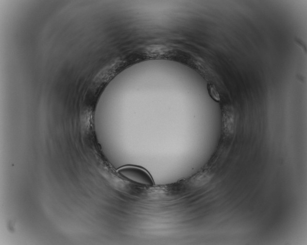 X0000101200574200807111012