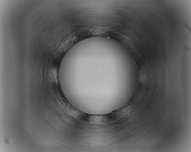 X0000101200575200807111012