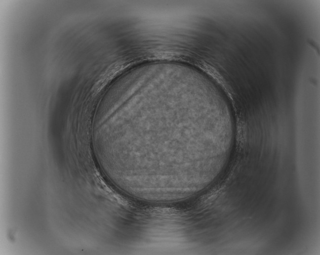 X0000101200577200807111011