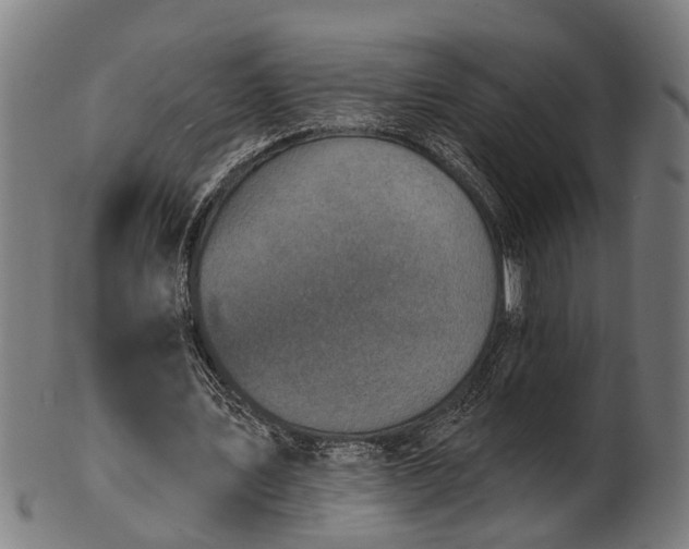 X0000101200579200807111011