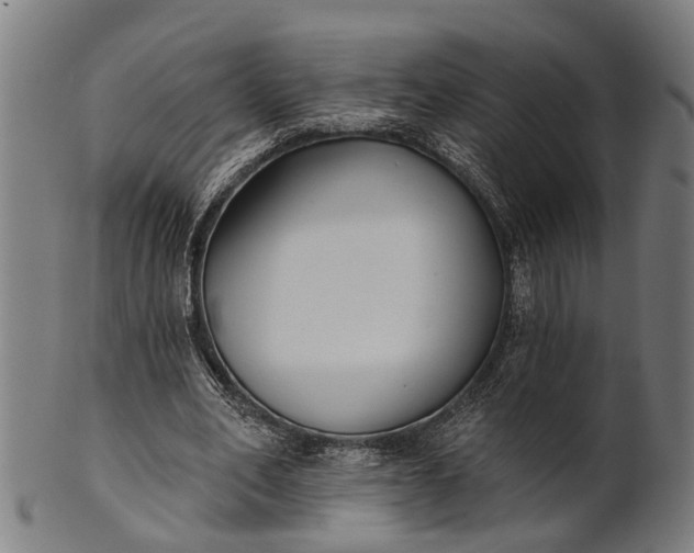 X0000101200582200807111011