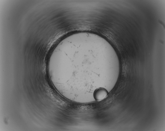 X0000101200584200807111011