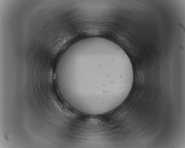 X0000101200596200807111011