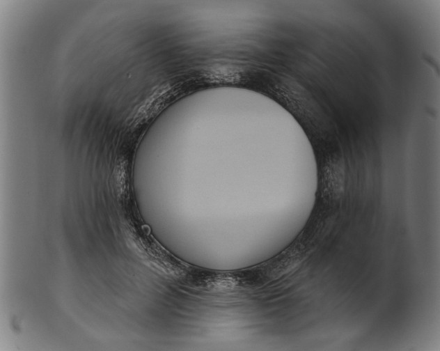 X0000101200600200807111011