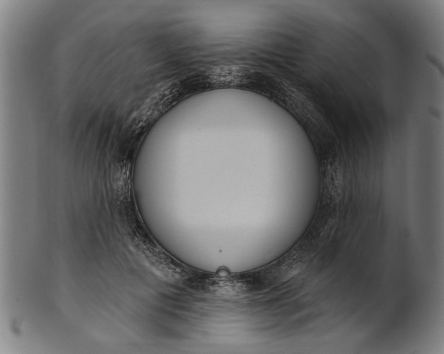 X0000101200601200807111011