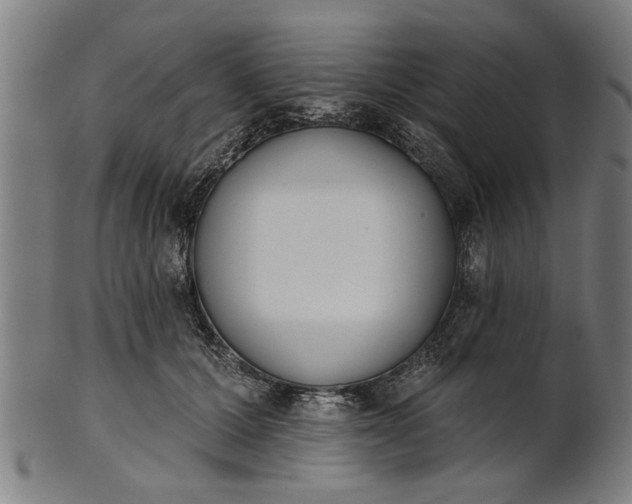 X0000101200607200807111011