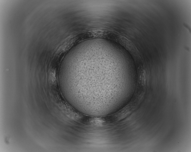 X0000101200610200807111011