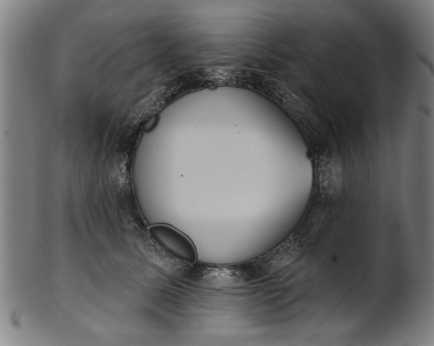 X0000101200611200807111011