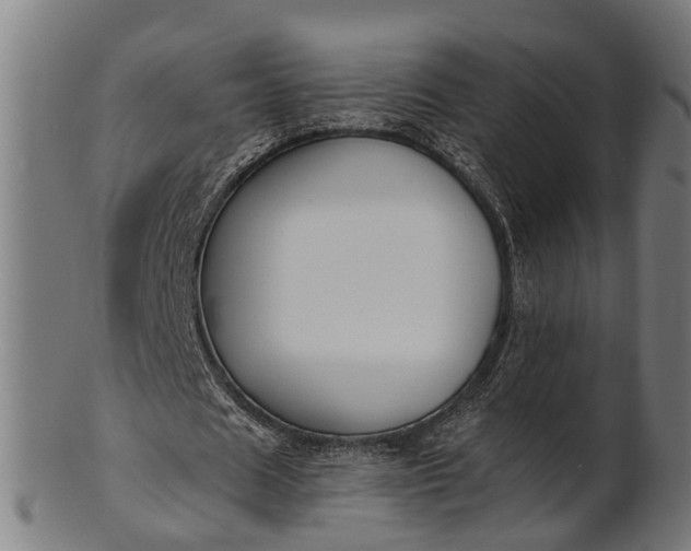 X0000101200625200807111010