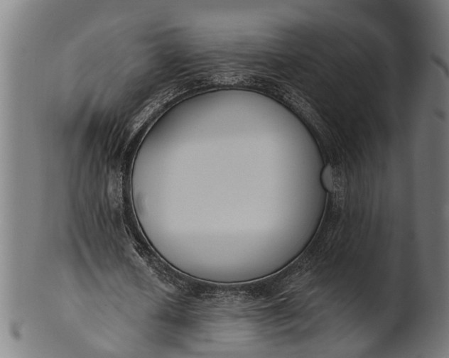 X0000101200626200807111010