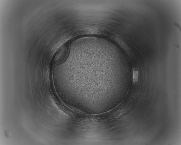 X0000101200627200807111010