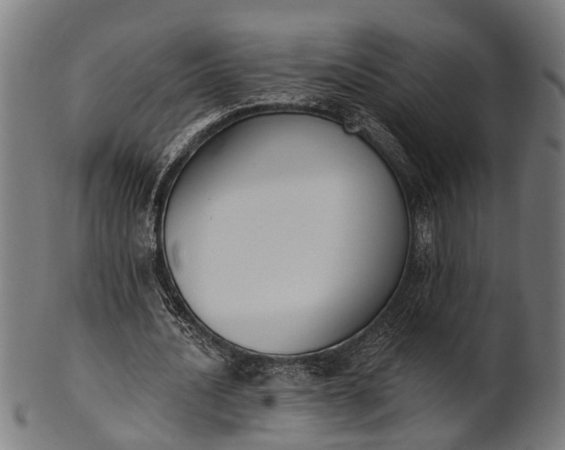 X0000101200628200807111010