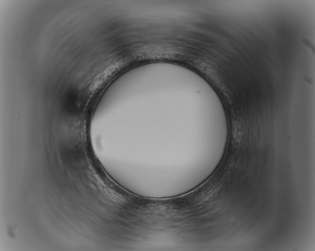 X0000101200629200807111010