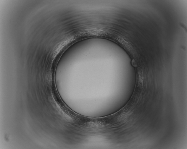 X0000101200630200807111010