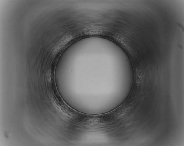 X0000101200631200807111010