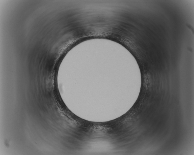 X0000101200632200807111010
