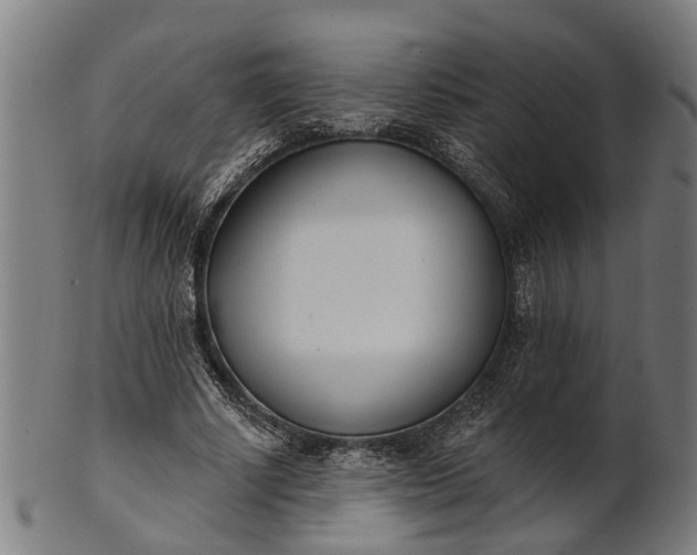 X0000101200634200807111010