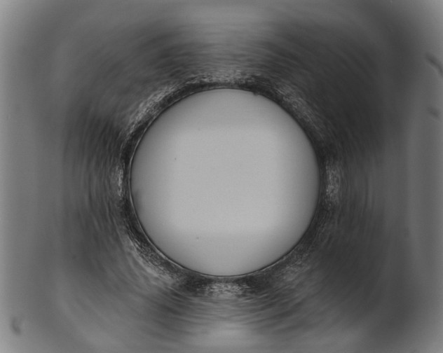 X0000101200636200807111010
