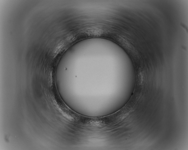 X0000101200638200807111010