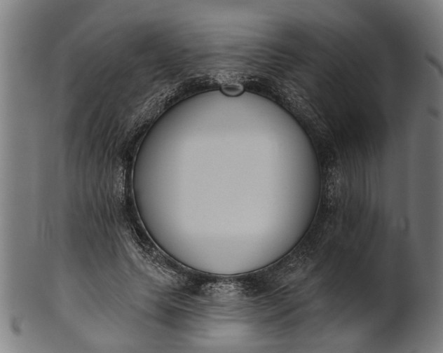 X0000101200639200807111010
