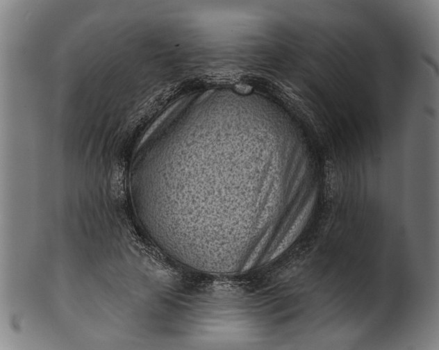 X0000101200641200807111010