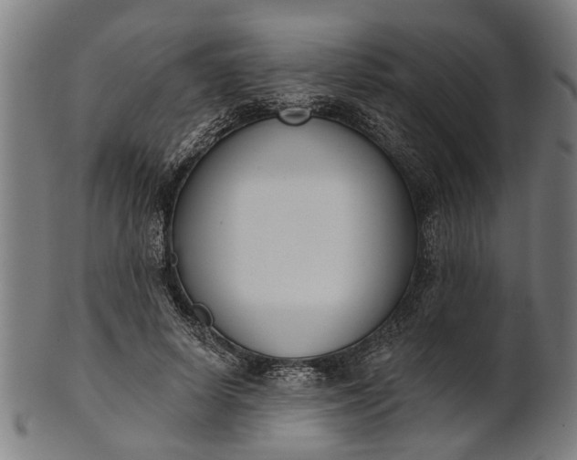X0000101200642200807111010