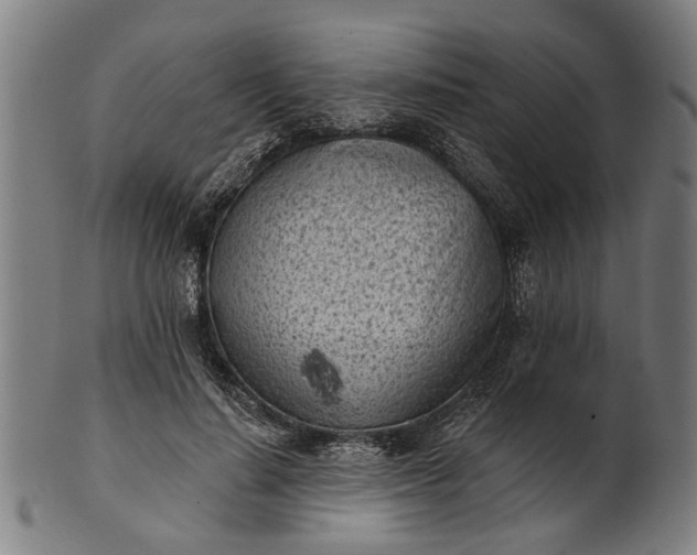 X0000101200644200807111010