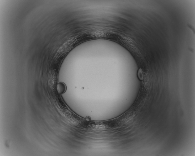 X0000101200645200807111010