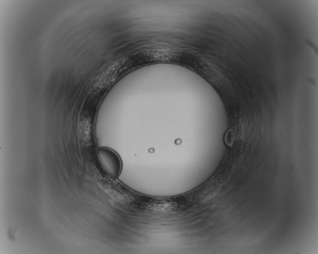 X0000101200646200807111010