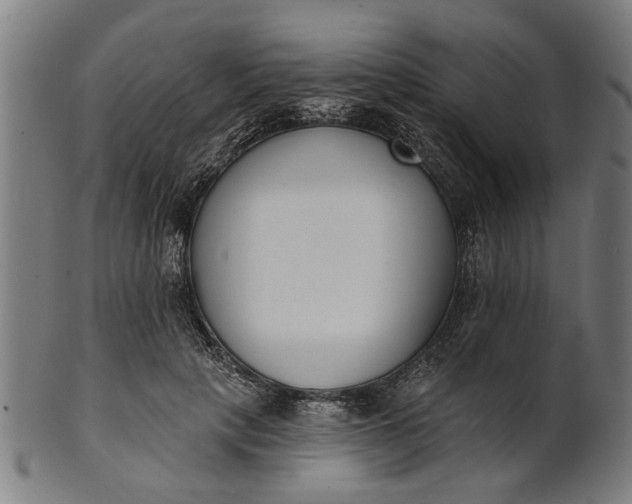 X0000101200649200807111010