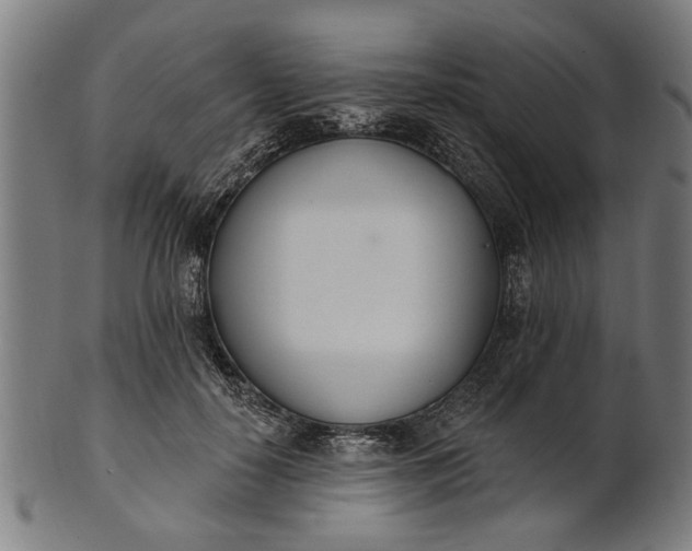 X0000101200650200807111010