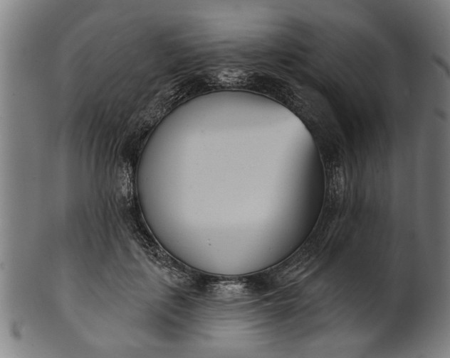 X0000101200651200807111010