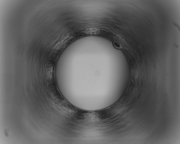 X0000101200652200807111010