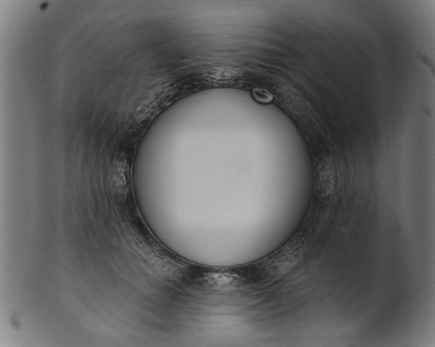 X0000101200654200807111010