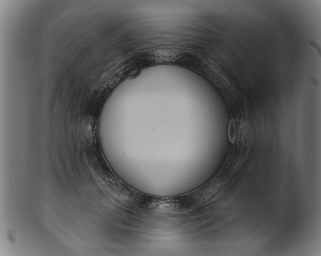 X0000101200655200807111010
