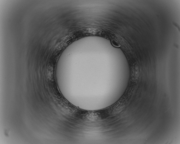 X0000101200656200807111011